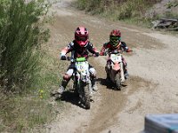 IMG 5919