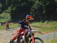 DSC 0212