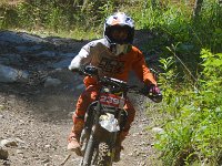 DSC 0137