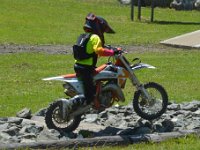 DSC 0223