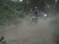 DSC 0374